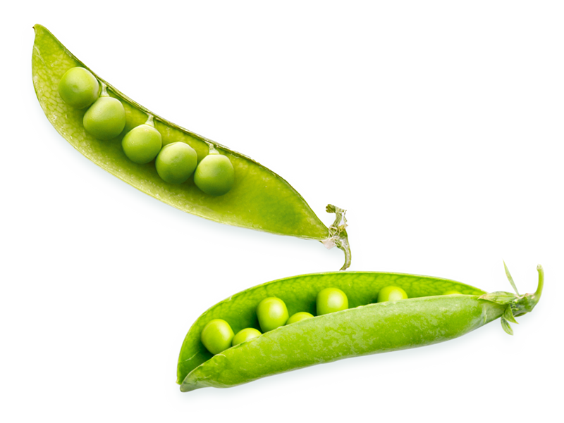 guisantes